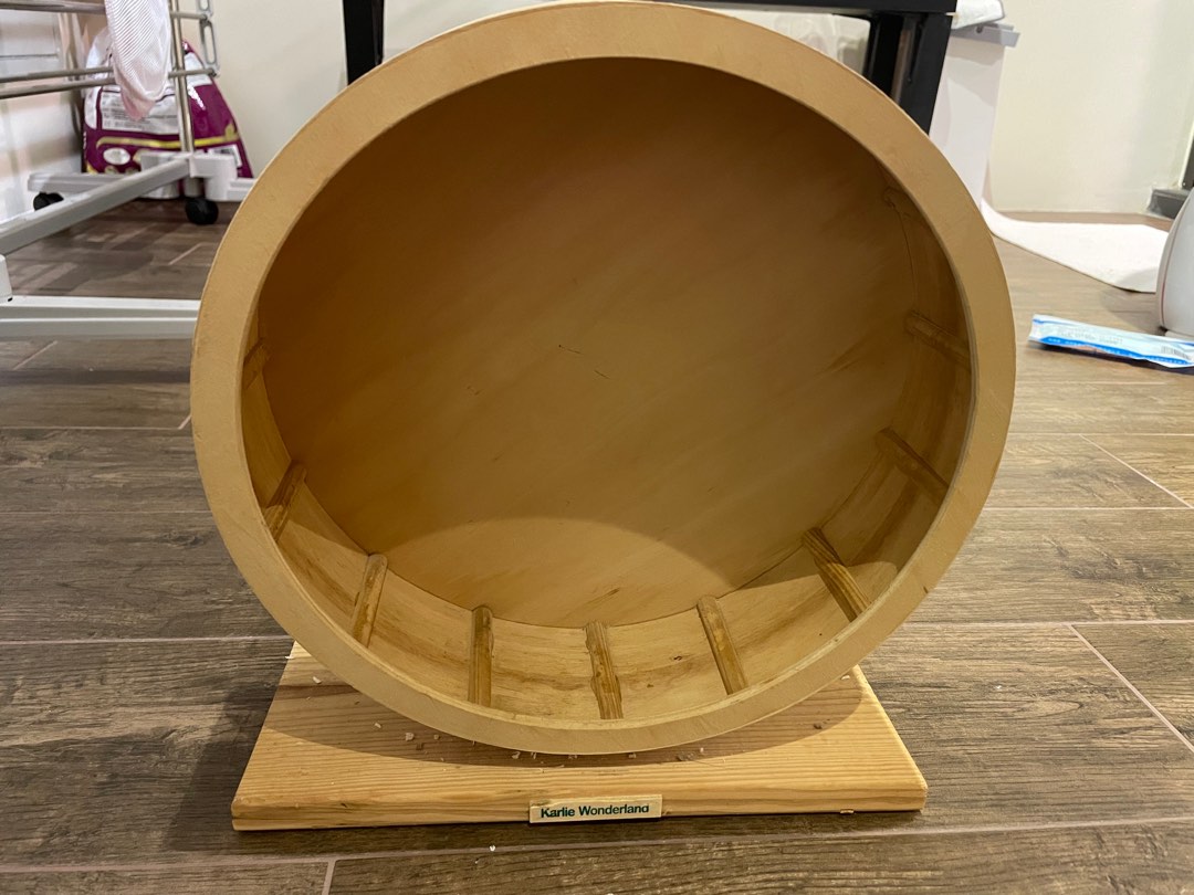 Large hamster wheel, Pet Supplies, Homes & Other Pet Accessories on