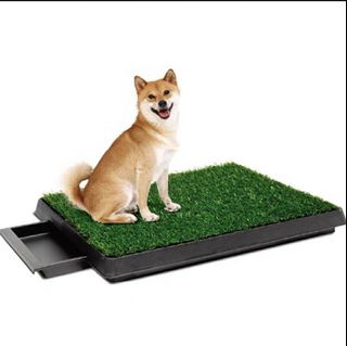 (Category: ) located in . Submitted by yodastitch (Listing ID 1192164568, Image 1). Description: .