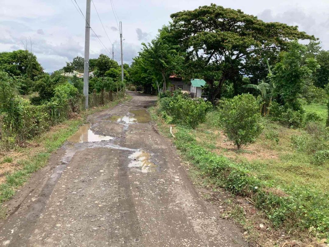 Tiaong Quezon Farm With For Sale, Property, For Sale, Lot on