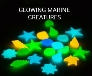 (Category: ) located in . Submitted by nature11 (Listing ID 1192342419, Image 1). Description: .