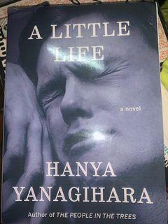 A Little Life by Hanya Yanagahira