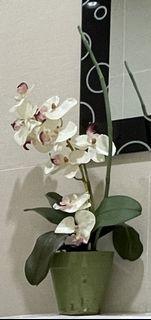 Artificial White Orchid Flower with Green Pot Home Decoration / Display