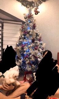 (Category: ) located in . Submitted by ellis18 (Listing ID 1192273816, Image 1). Description: .