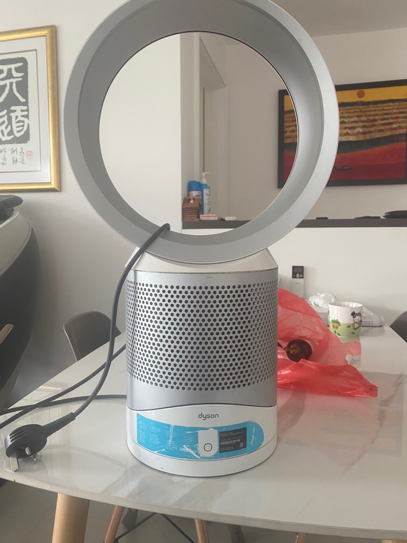 Dyson fan filter need to change, TV & Home Appliances, Air Purifiers