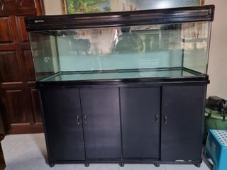 (Category: ) located in . Submitted by k.subra (Listing ID 1192262375, Image 1). Description: .
