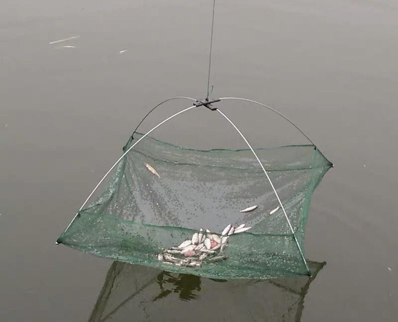 Fishing Net Foldable Folding Mesh Nylon Fishing Net Baits Trap Cast Dip  Crab Shrimp Net