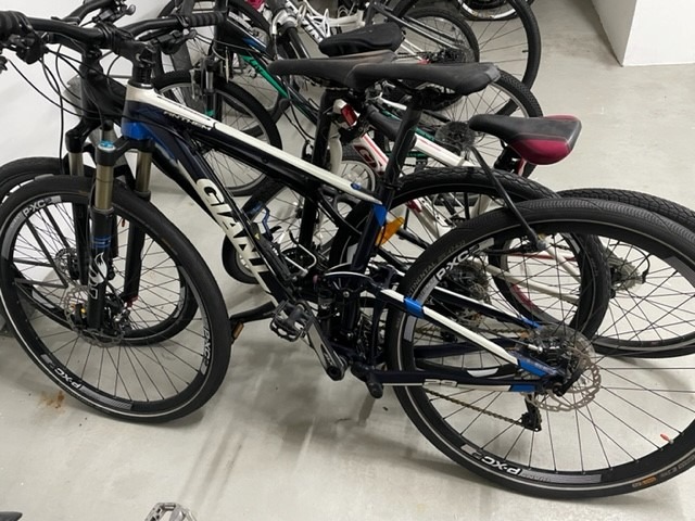 Giant aluxx sl fluidform price store