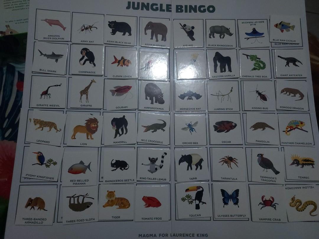 Jungle bingo for kids, Hobbies & Toys, Toys & Games