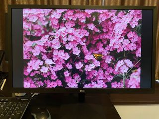 (Category: ) located in . Submitted by mahesh.harikumar (Listing ID 1185530558, Image 1). Description: .
