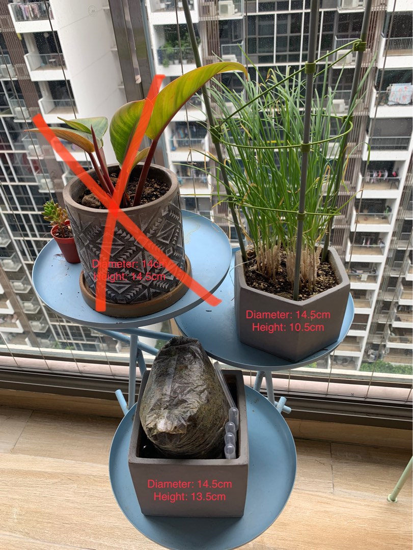 Plant pots read descriptions, Furniture & Home Living, Gardening