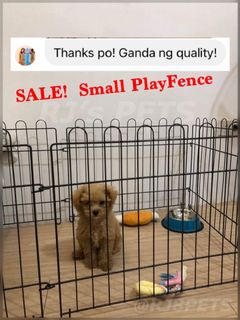 (Category: ) located in . Submitted by rj8pets (Listing ID 1192350761, Image 1). Description: .