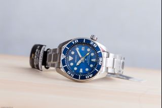 Sumo coral blue online