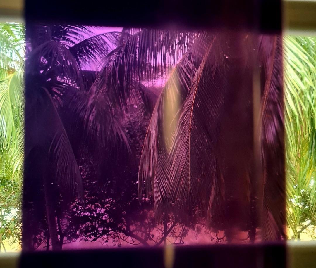 Toyota Wish Visors, Car Accessories, Accessories on Carousell