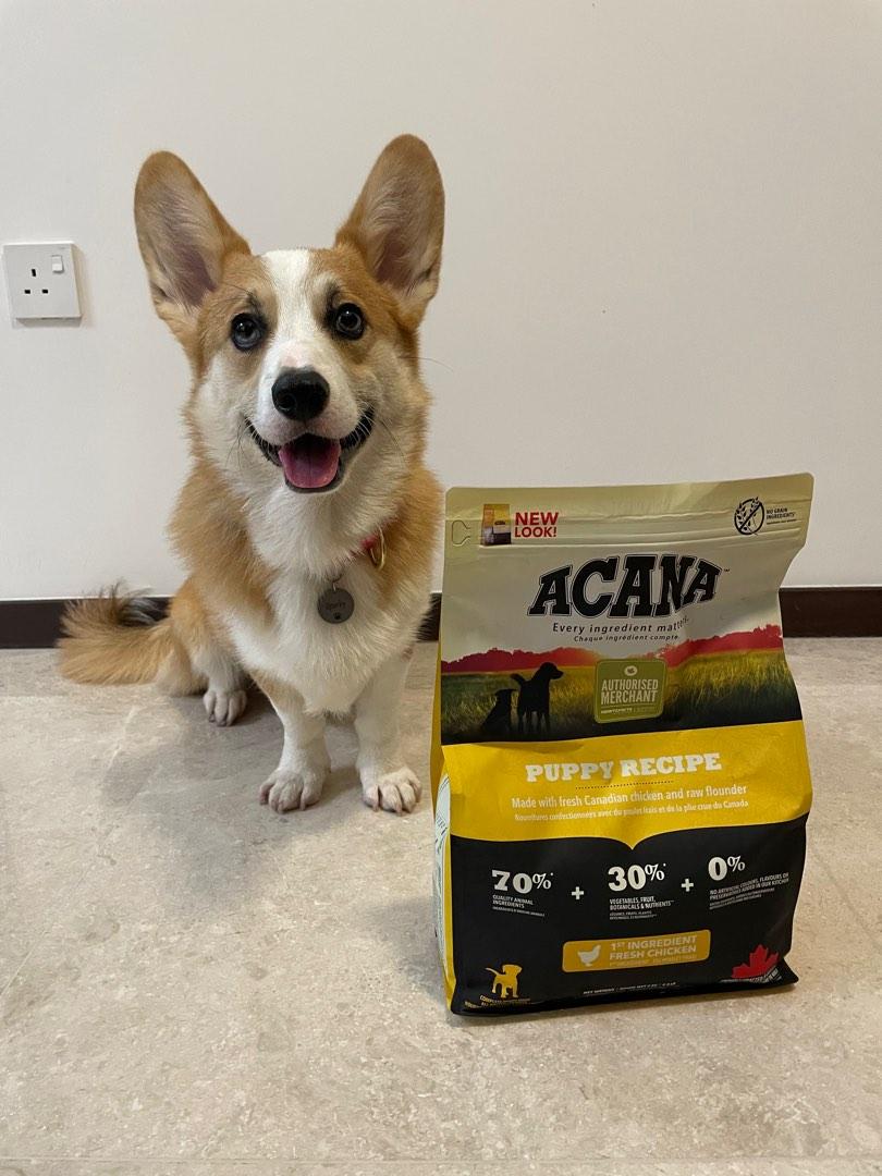 Acana puppy 2kg discount
