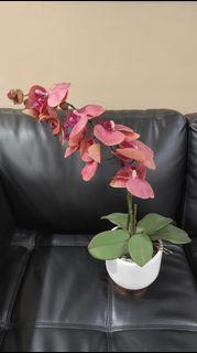 Artificial Pink Orchid Flower with White Glossy Ceramic Pot Home Decoration / Display