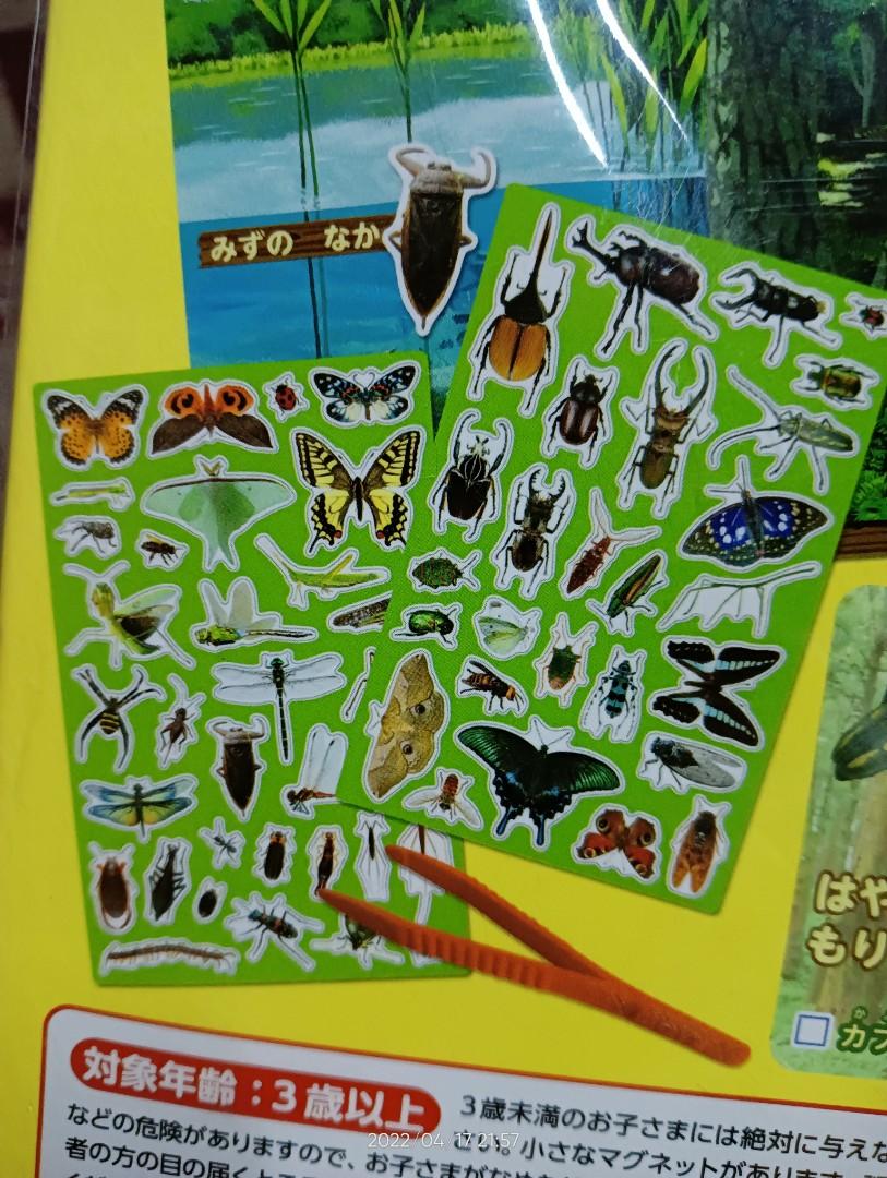Book magnet of insects, Hobbies & Toys, Toys & Games on Carousell