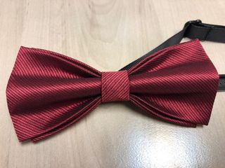Bow tie煲呔，每款$30，30蚊個，全新，無包裝，包順豐速遞64170644703875110