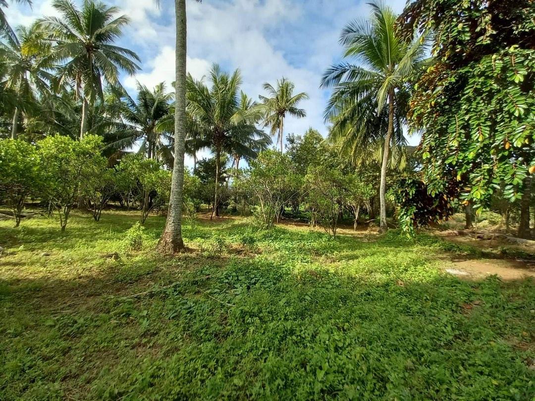 FARM LOT WITH HOUSE, Property, For Sale, House & Lot on Carousell