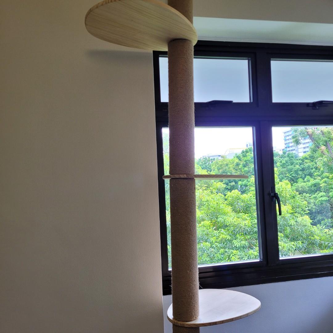 Floor to ceiling cat tree, Pet Supplies, Homes & Other Pet Accessories