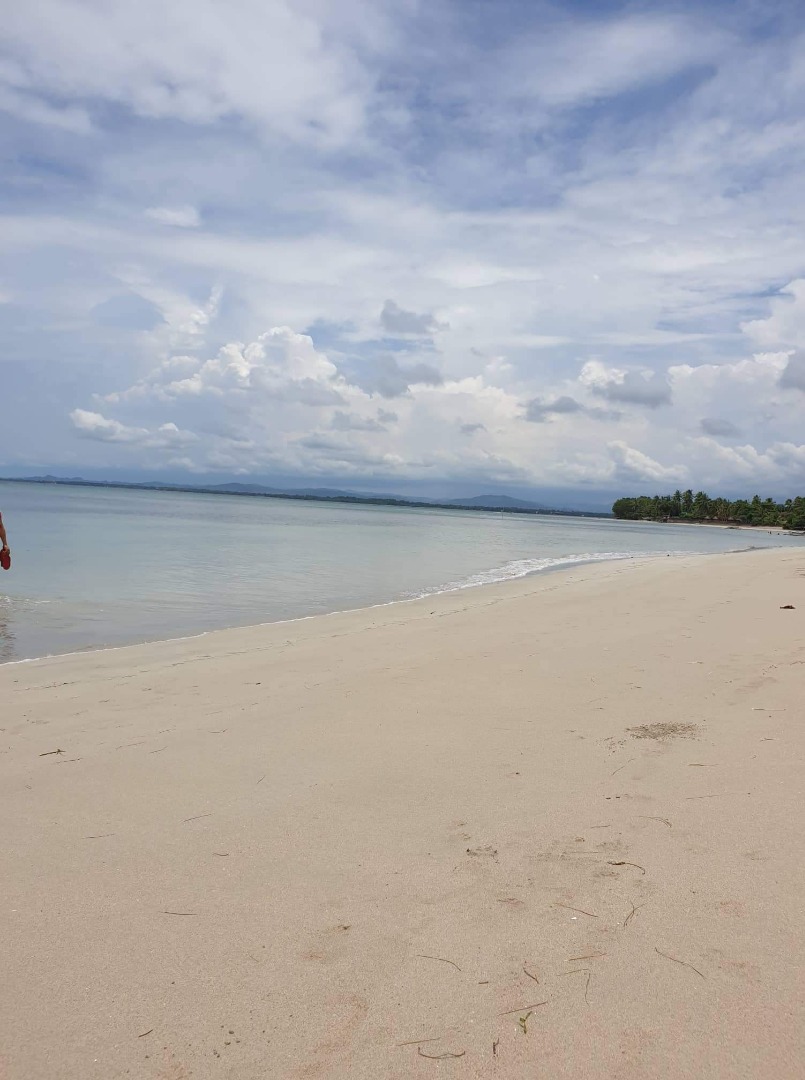 Sta. Cruz, Zambales, Property, For Sale, Lot on Carousell
