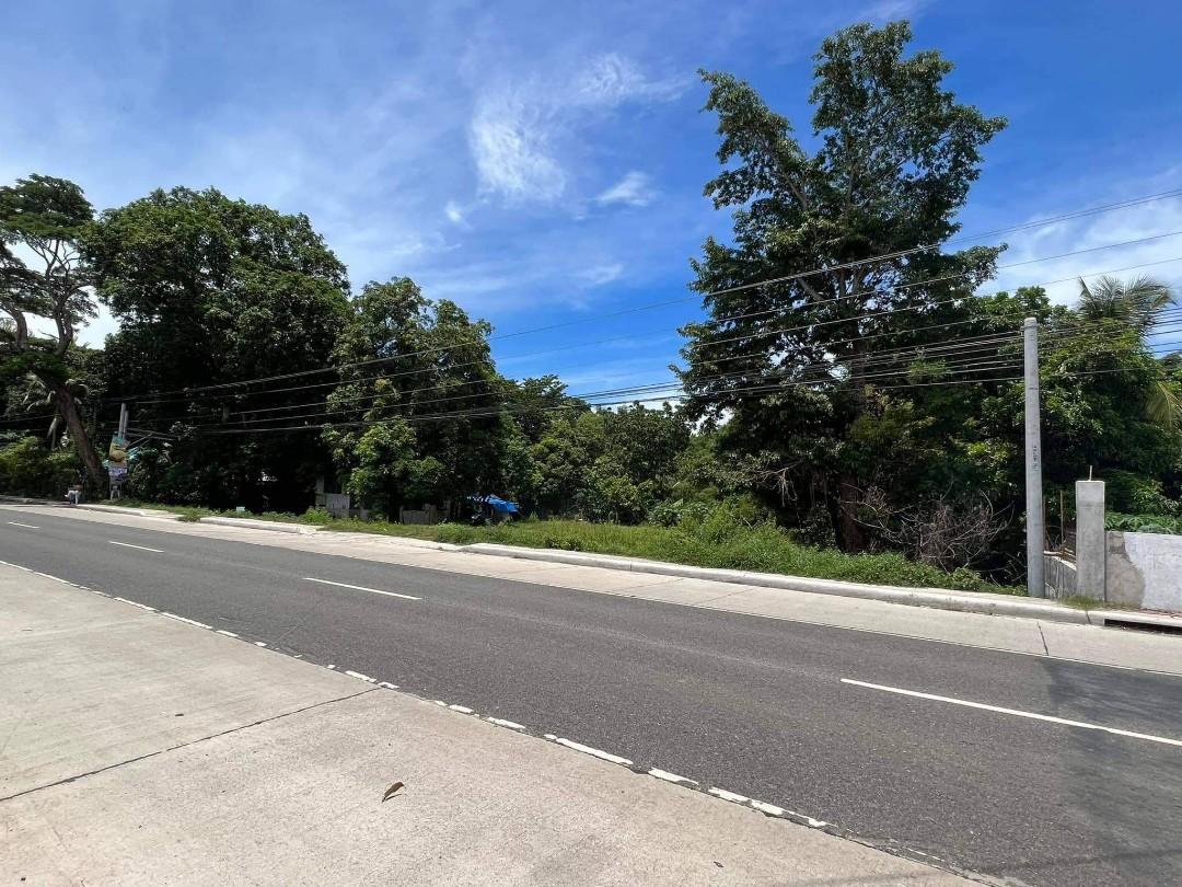 FOR SALE Balayan Batangas Lot Lot, 5,084 Sqm