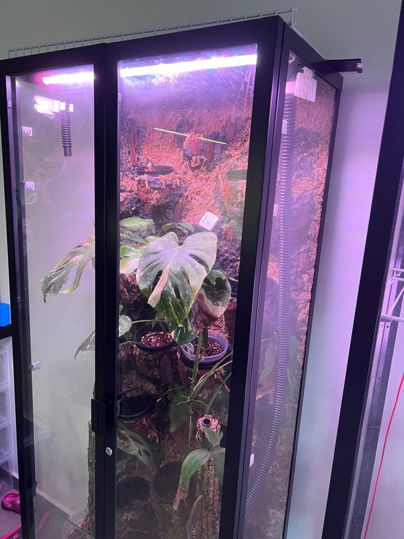 Greenhouse Glass Furniture & Home Living, Gardening, Plants