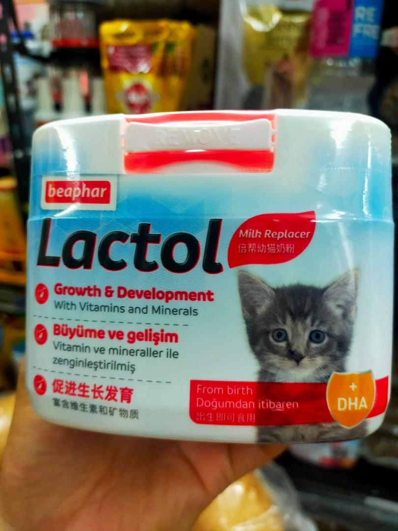 Lactol Kitten Milk Replacer 250g & 500g, Pet Supplies, Pet Food on