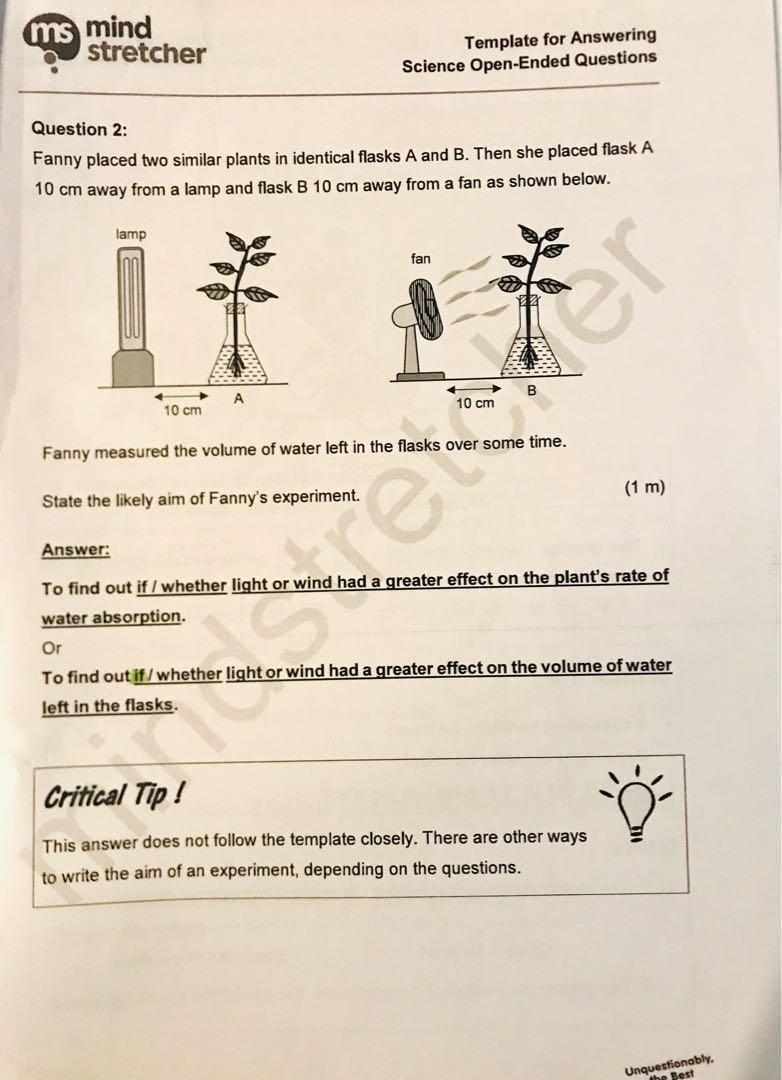 Mind Stretcher Primary 6 full year notes and worksheets Hobbies Toys