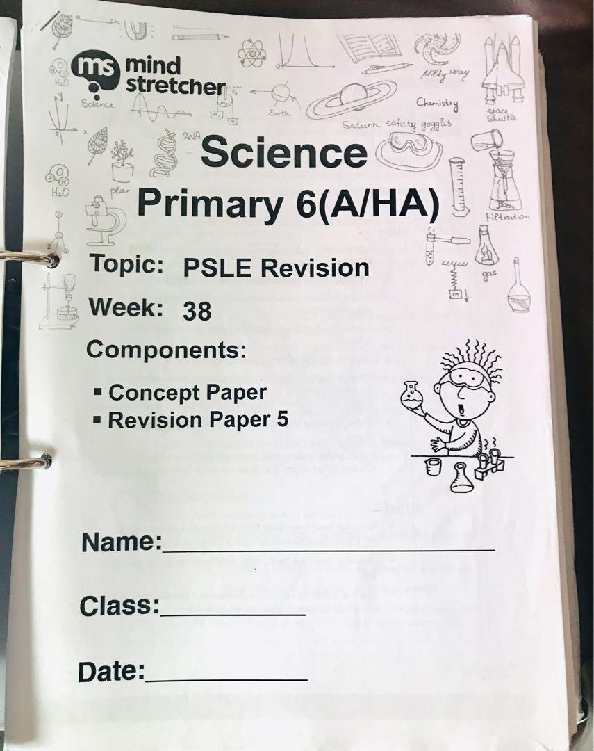Mind Stretcher Primary 6 full year notes and worksheets, Hobbies & Toys