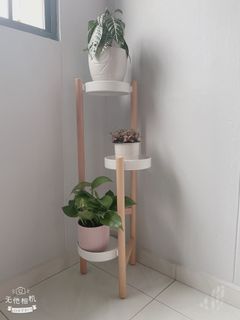 (Category: ) located in . Submitted by plants123 (Listing ID 1192548307, Image 1). Description: .