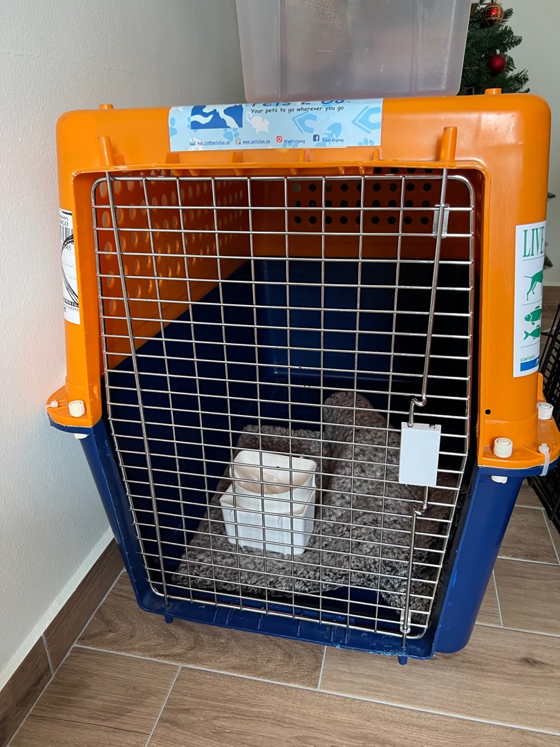 PP60N IATA approved pet crate, Pet Supplies, Homes & Other Pet