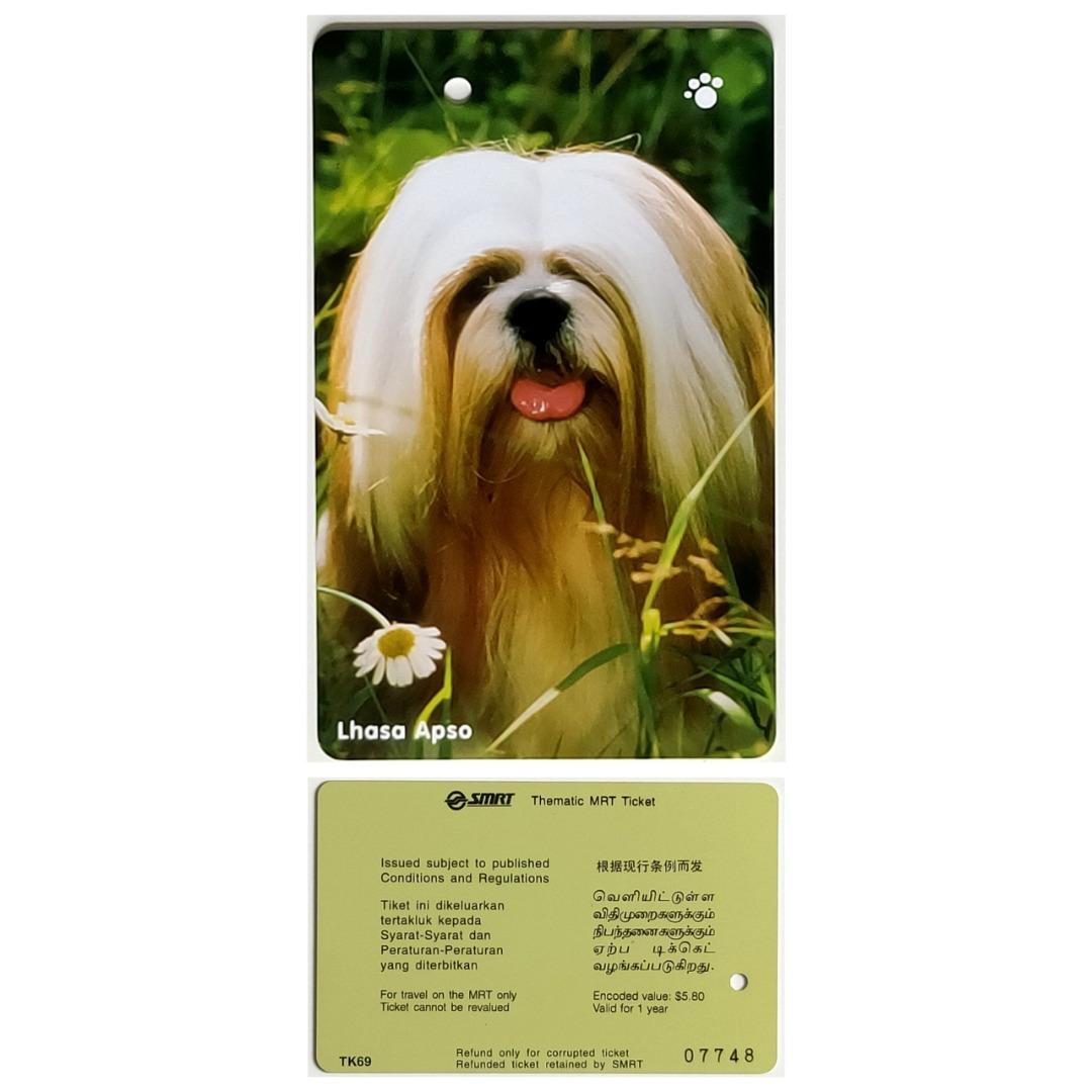 Preloved best sale lhasa apso