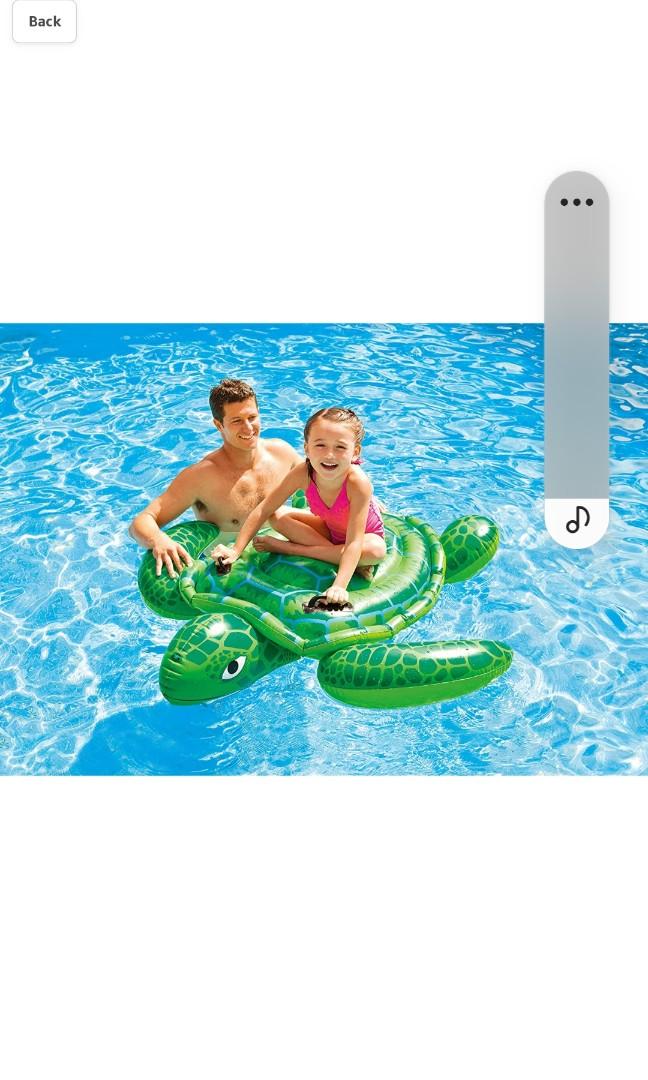 Ride on SEA TURTLE, Sports Equipment, Sports & Games, Water Sports on ...