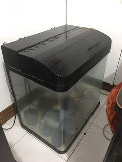 20 gallons Aquarium complete set with LED light and air pump
