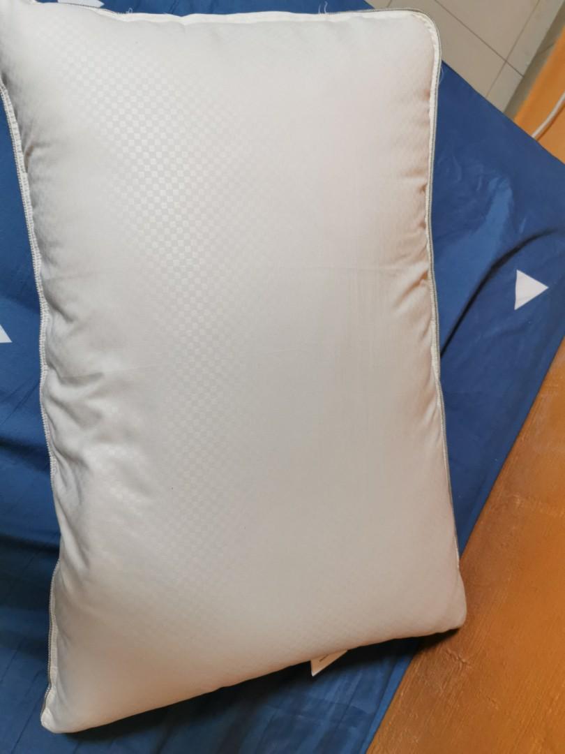 Akemi pillow, Everything Else on Carousell