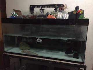 (Category: ) located in . Submitted by itumay (Listing ID 1192745468, Image 1). Description: .
