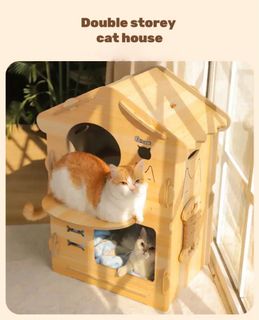 (Category: ) located in . Submitted by paws_pot (Listing ID 1192787829, Image 1). Description: .