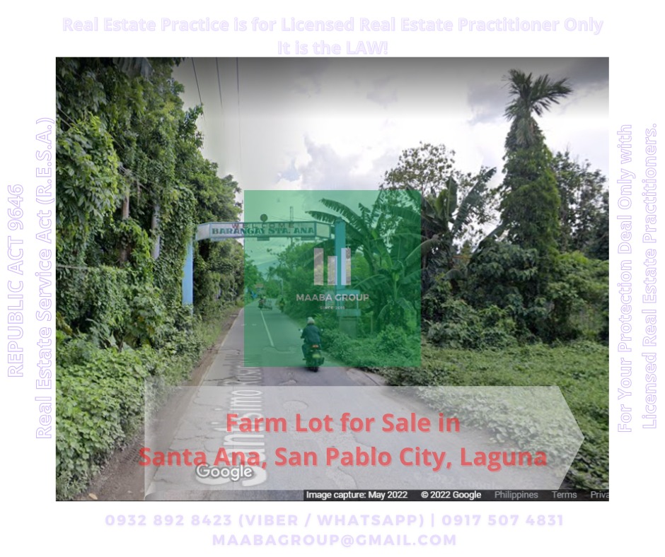 Farm Lot for Sale in Santa Ana, San Pablo City, Laguna, Property, For