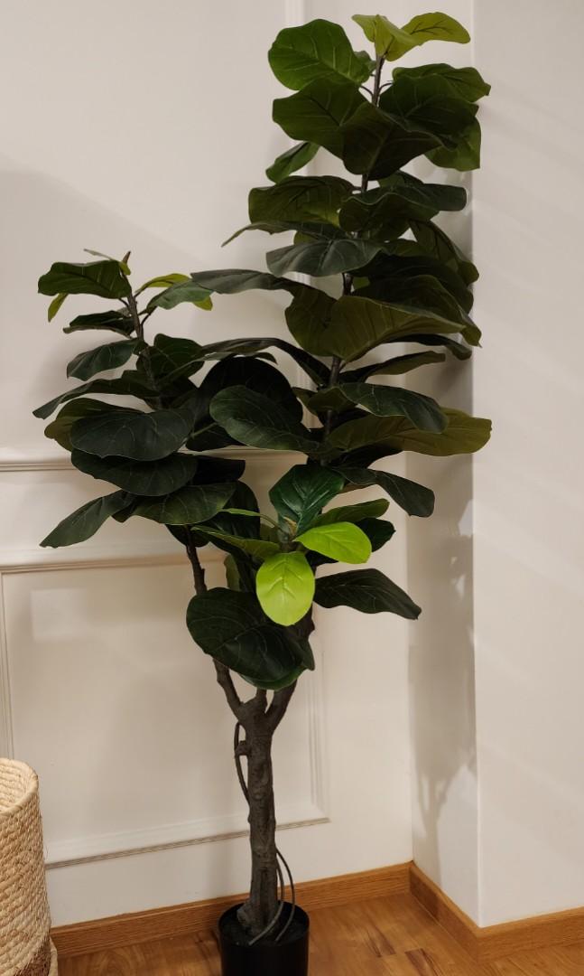 Fiddle Leaf Fig Faux Fake Artificial Plant, Furniture & Home Living