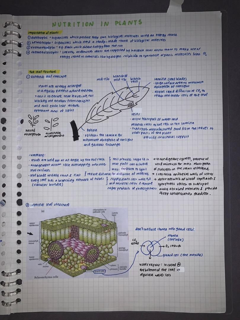 HARDCOPY SEC 3 PURE BIOLOGY NOTES by graduated sec 4 integrated ...
