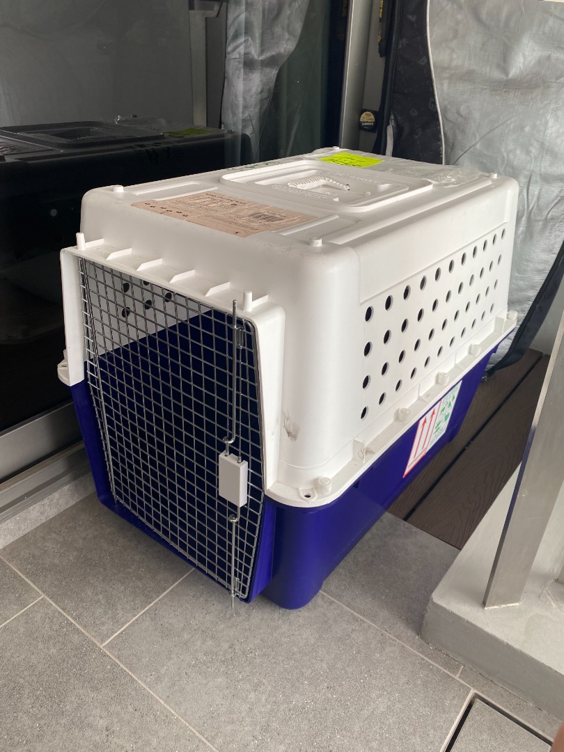 Large dog carrier crate, Pet Supplies, Homes & Other Pet Accessories on