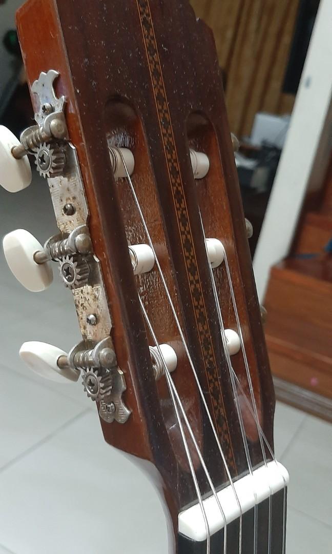 Shinano 2025 classical guitar