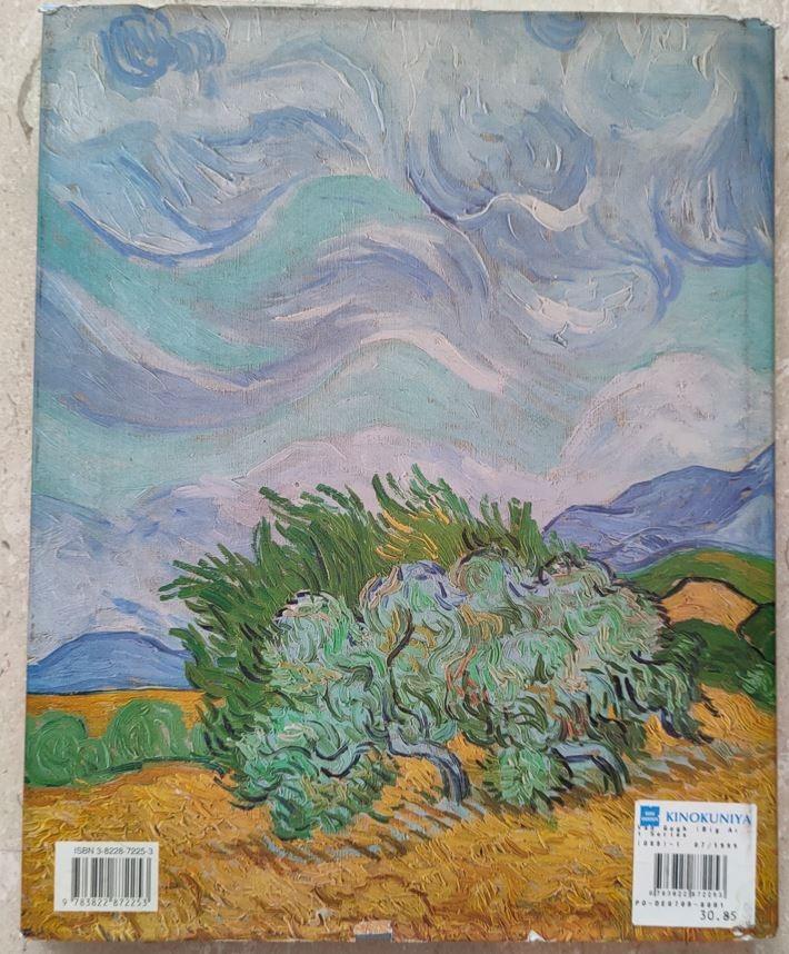 Vincent Van Gogh Art Book, Hobbies & Toys, Books & Magazines, Fiction