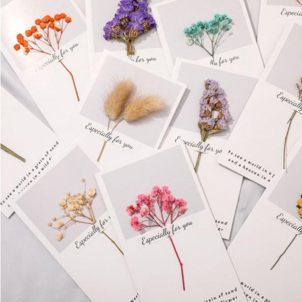 1pc Dried Flower Greeting Cards (Category: Flowers & Bouquets) located in Malabon City. Submitted by heyitskhen (Listing ID 1192856198, Image 2). Description: 38 each pm for more designs Package Includes: 1 x White Paper Greeting Cards with Pressed Dried Flowers *With individual plastic packaging FOLDED Size: Width: 9 cm; Length: 16 cm.