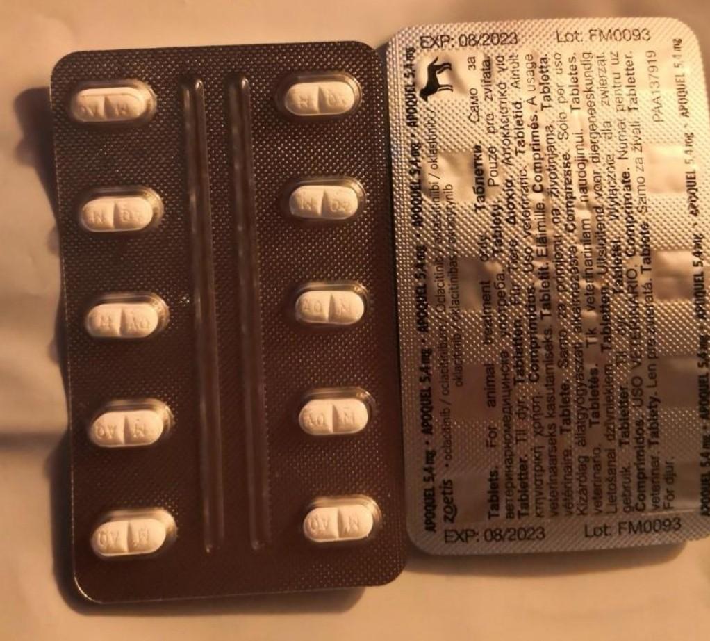 Apoquel 5.4mg, Pet Supplies, Health & Grooming on Carousell