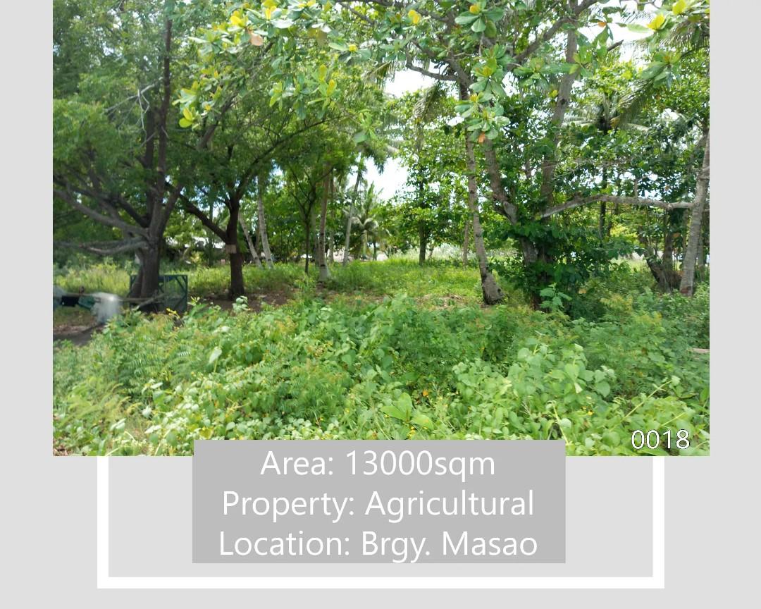 Beach Lot for Sale in Masao, Butuan City Near Masao Port, Property, For