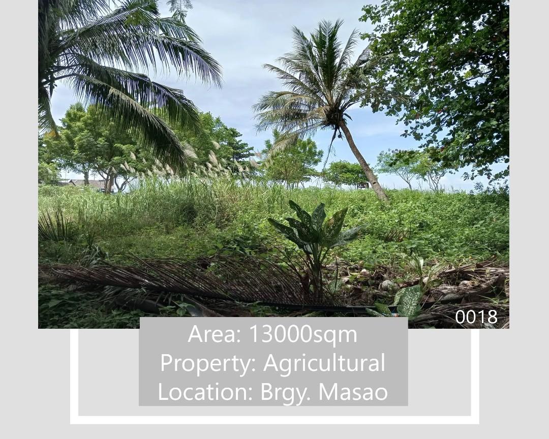 Beach Lot for Sale in Masao, Butuan City Near Masao Port, Property, For
