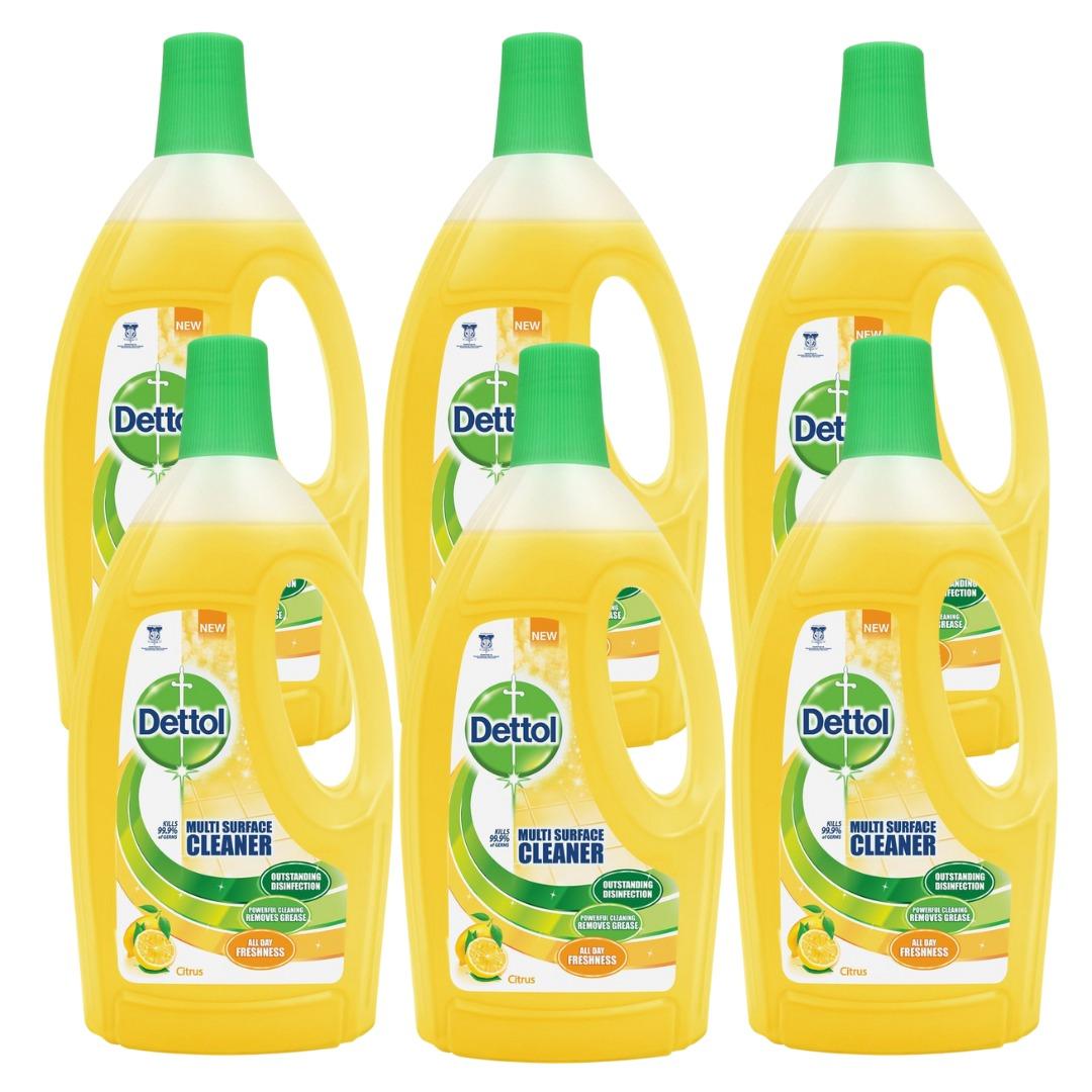 DETTOL MULTI ACTION CLEANER CITRUS 2.5L X 6PCS (1 BOX), Furniture ...