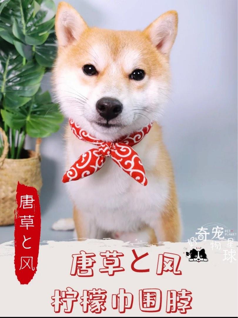 Dog Shiba Inu Red Bandana size xs Pet Supplies Homes Other