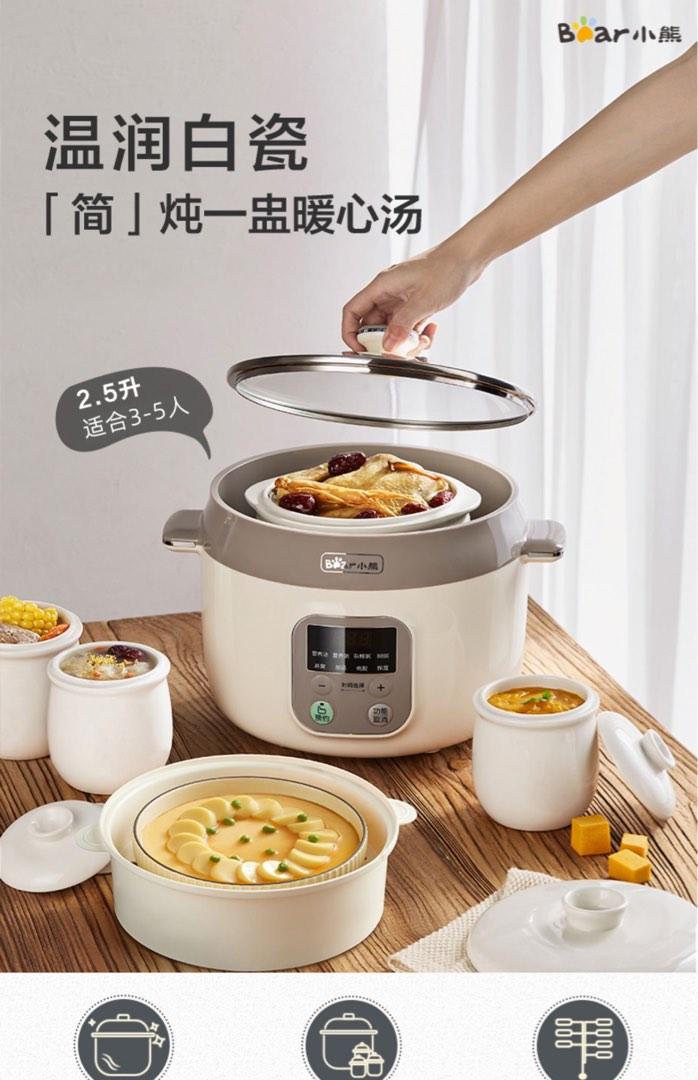 E Pot Electronic steam pot, TV & Home Appliances, Kitchen Appliances, Cookers ...